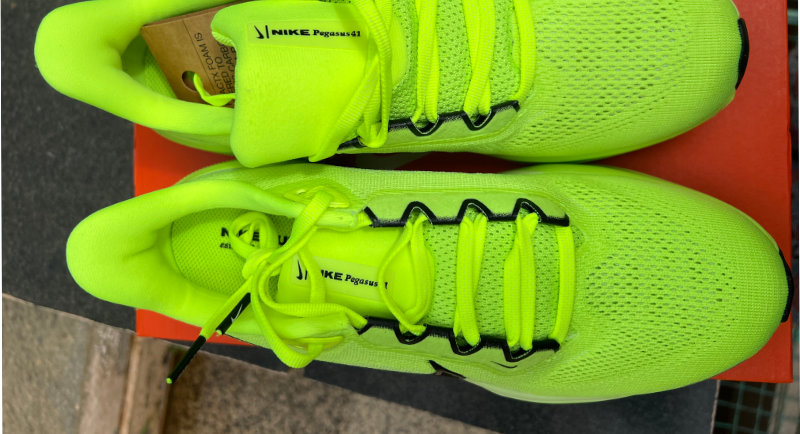 Pegasus 41 is a true daily trainer